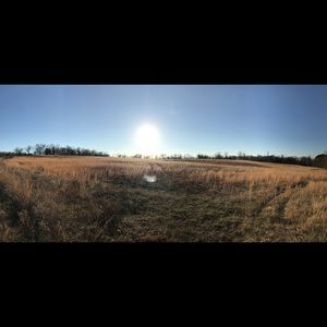 Meet your Posher, Brittni